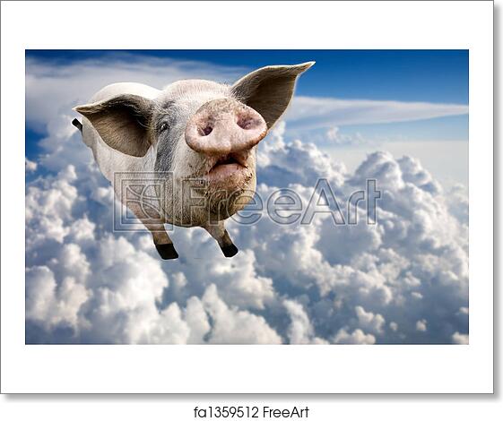 Detail Flying Pig Images Free Nomer 41