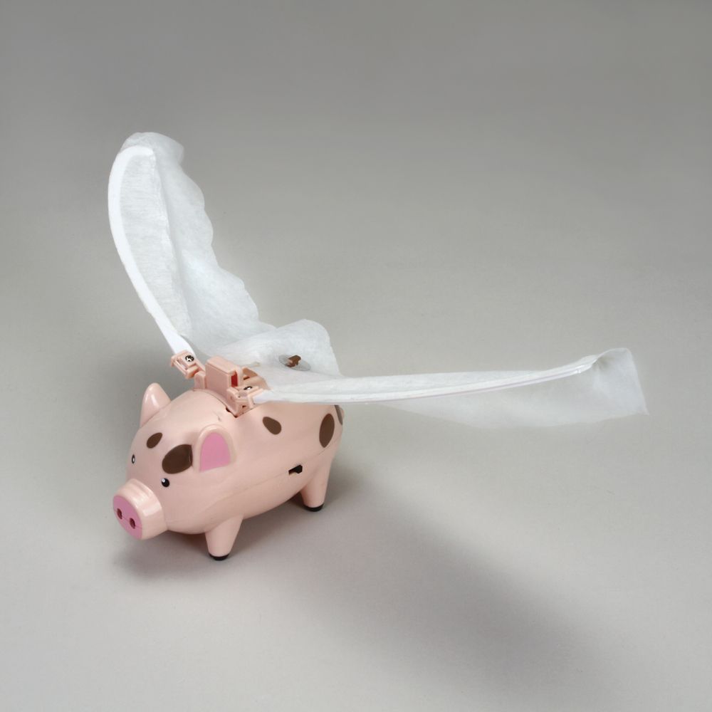 Detail Flying Pig Piggy Bank Nomer 55