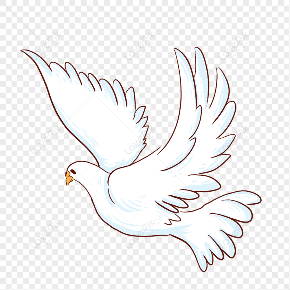 Detail Flying Pigeon Png Nomer 31