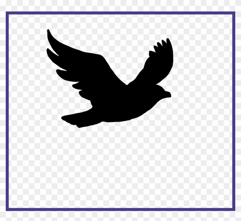 Detail Flying Pigeon Png Nomer 46