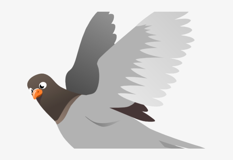 Download Flying Pigeon Png Nomer 50