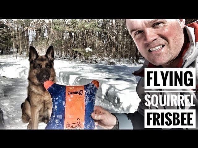 Detail Flying Squirrel Frisbee Nomer 22