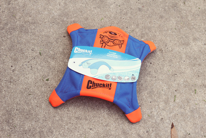 Detail Flying Squirrel Frisbee Nomer 52