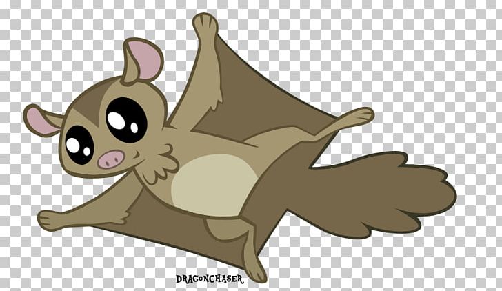 Detail Flying Squirrel Png Nomer 14