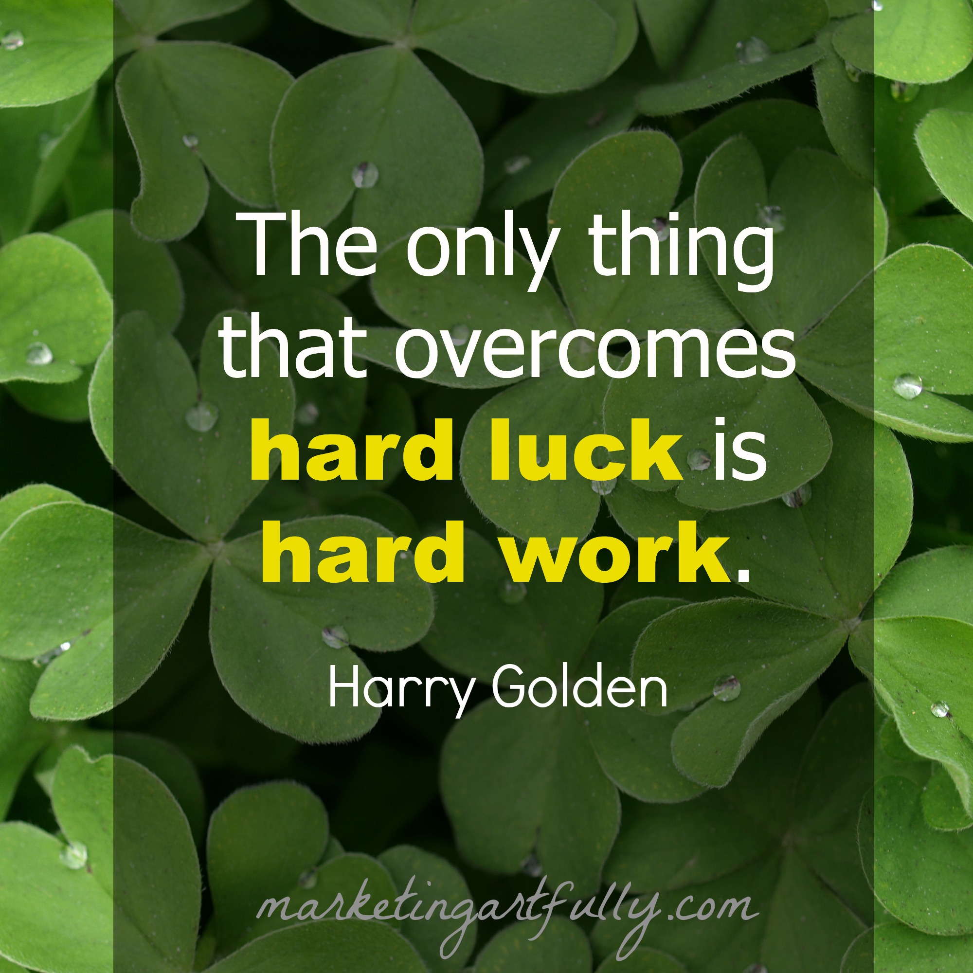 Detail Focus And Hard Work Quotes Nomer 25