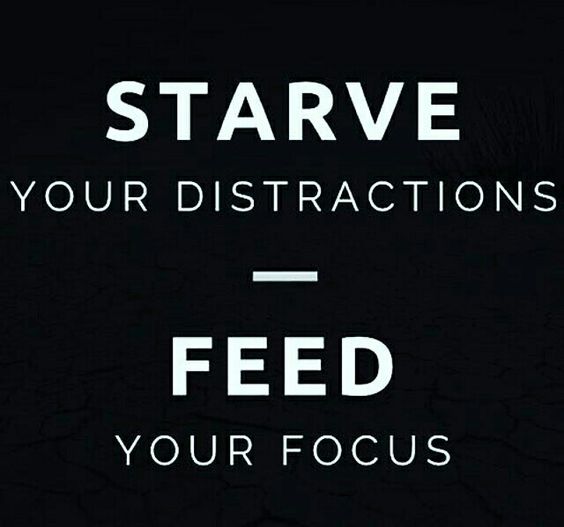 Detail Focus And Hard Work Quotes Nomer 47
