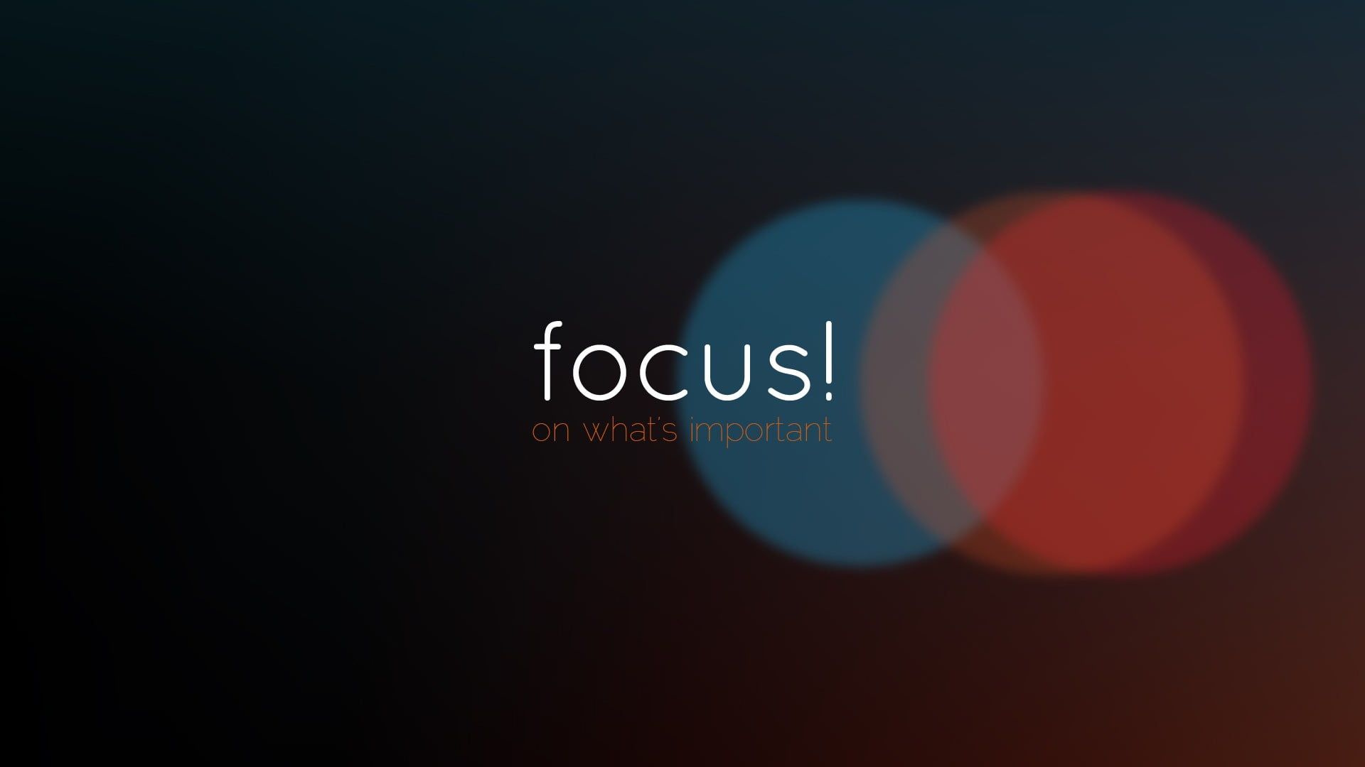 Detail Focus Wallpaper Hd Nomer 3