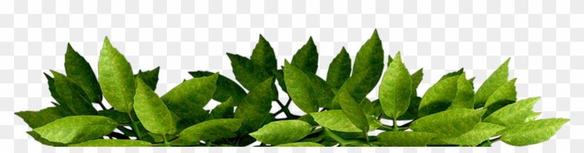 Detail Foliage Png Nomer 13
