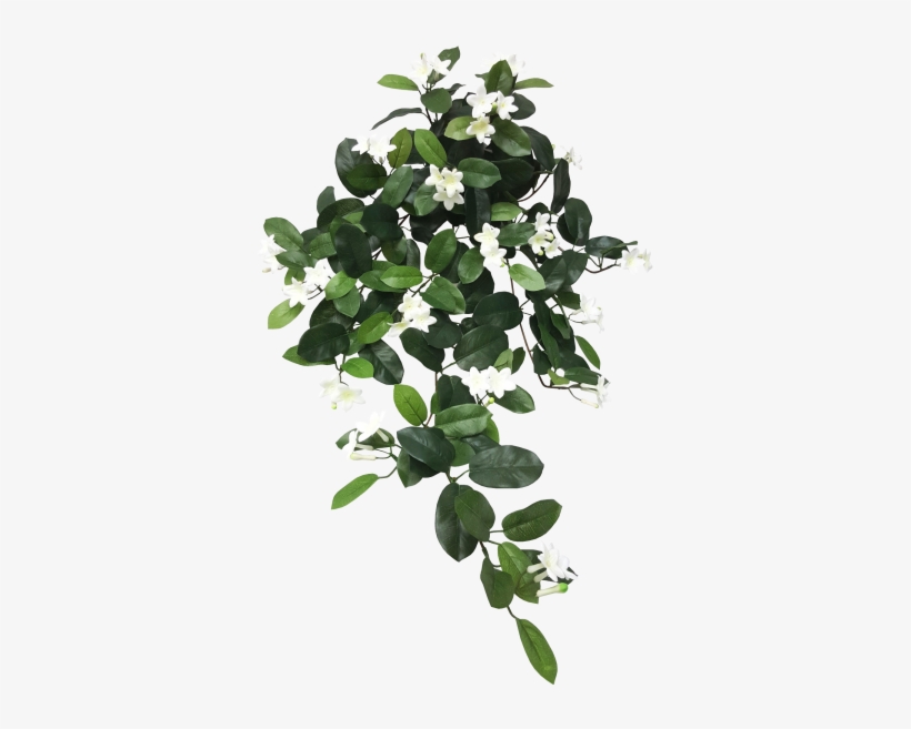 Detail Foliage Png Nomer 20