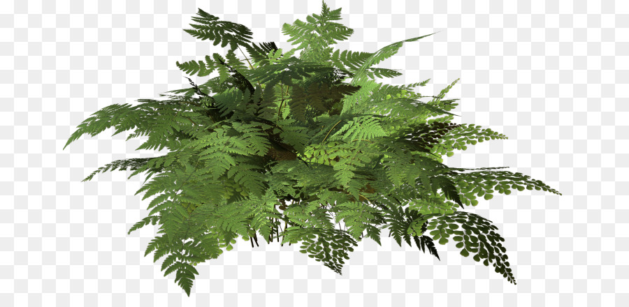 Detail Foliage Png Nomer 31