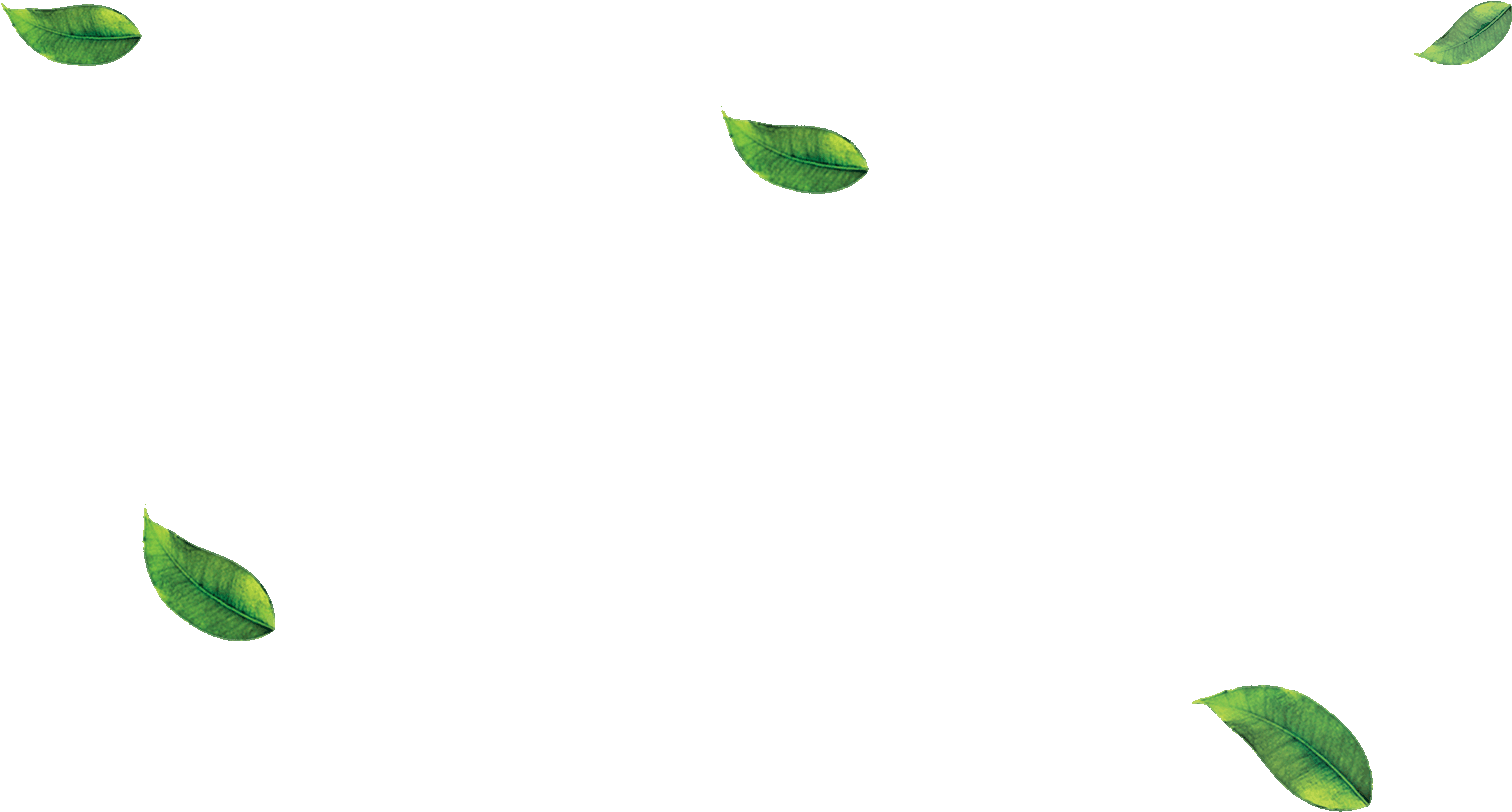 Detail Foliage Png Nomer 34