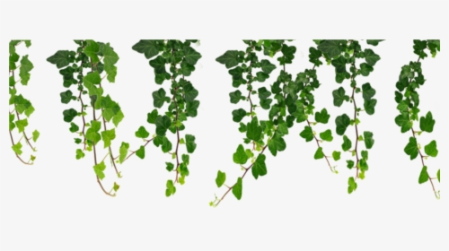 Detail Foliage Png Nomer 36