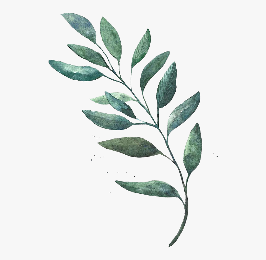 Detail Foliage Png Nomer 40
