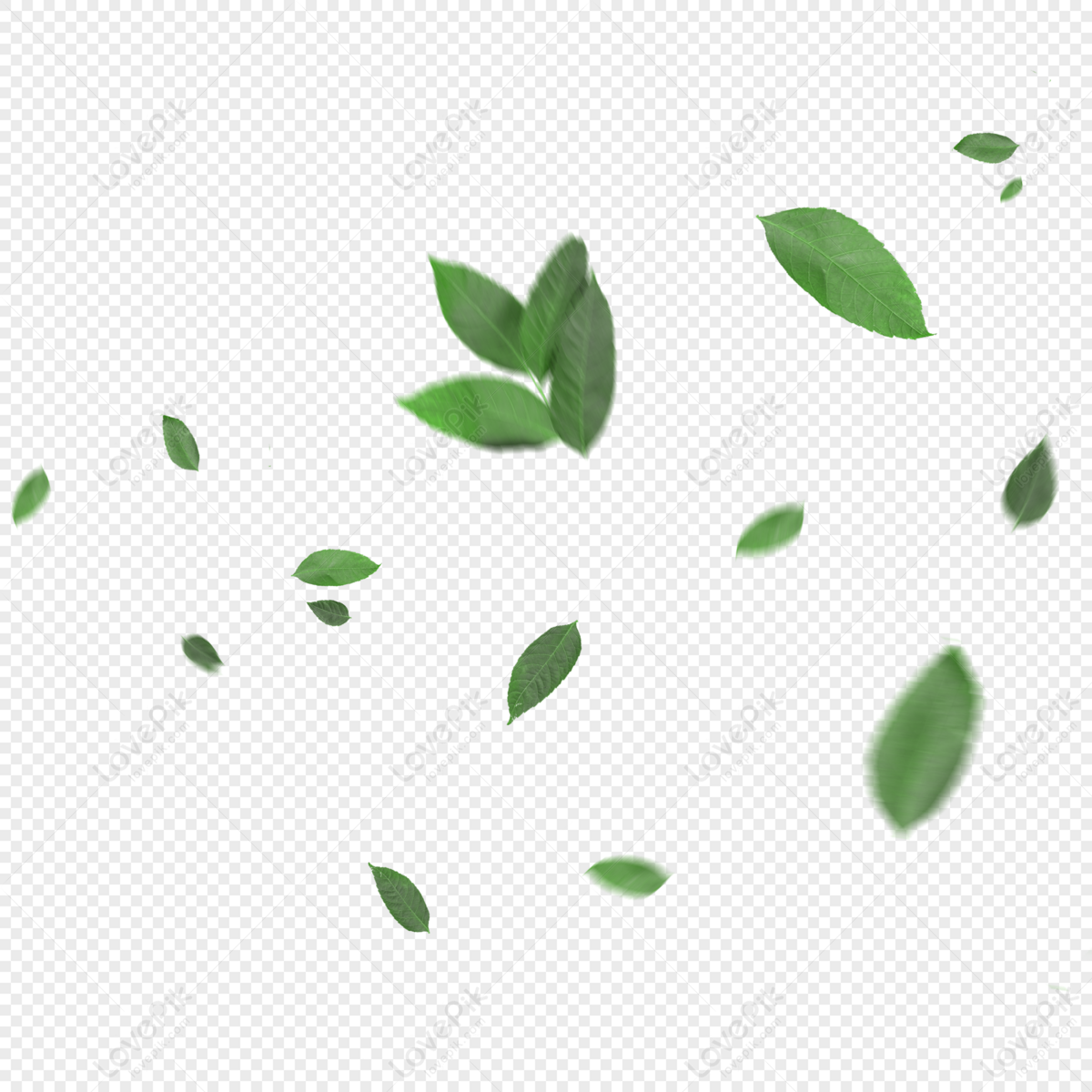 Detail Foliage Png Nomer 42
