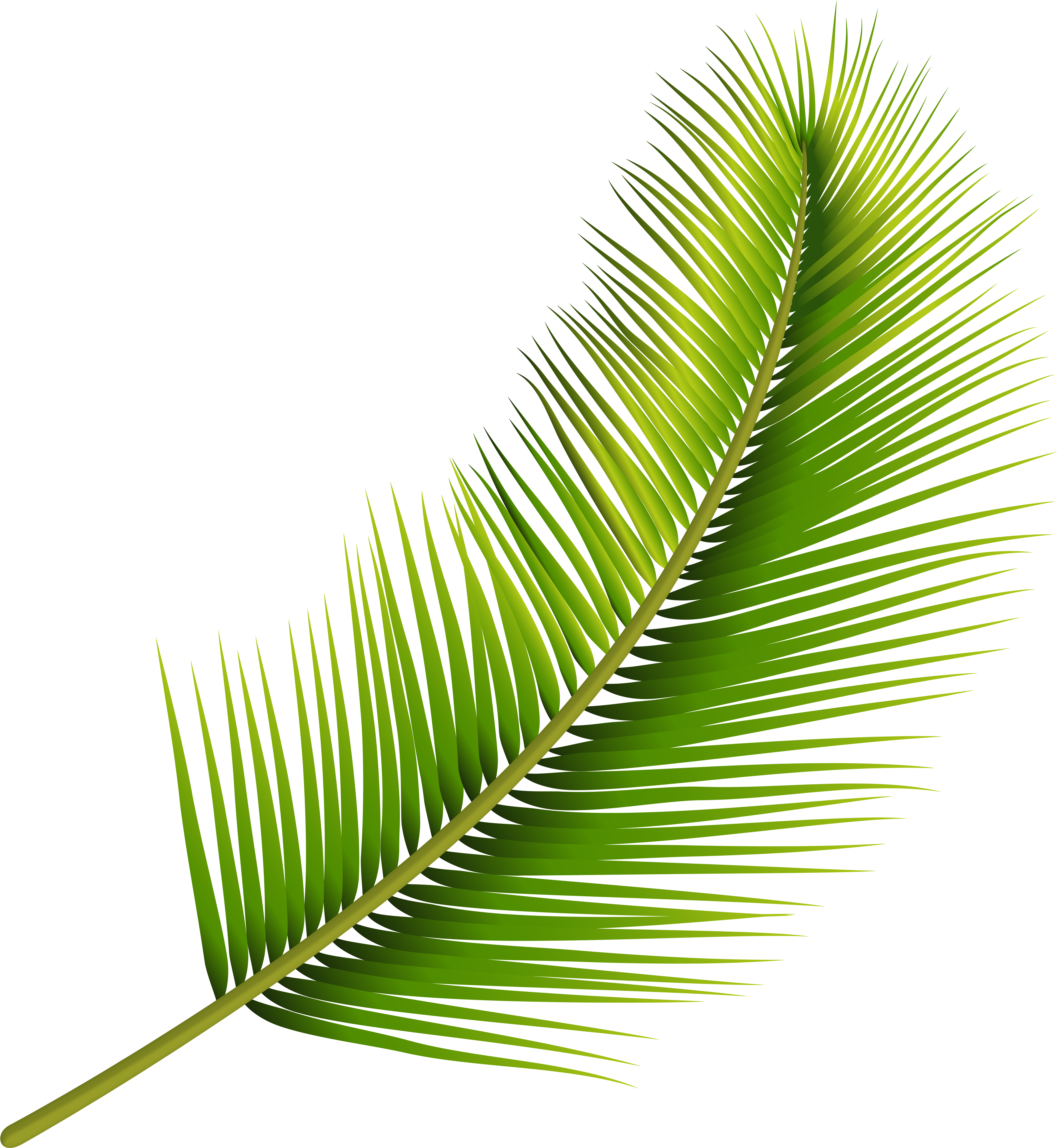 Detail Foliage Png Nomer 45
