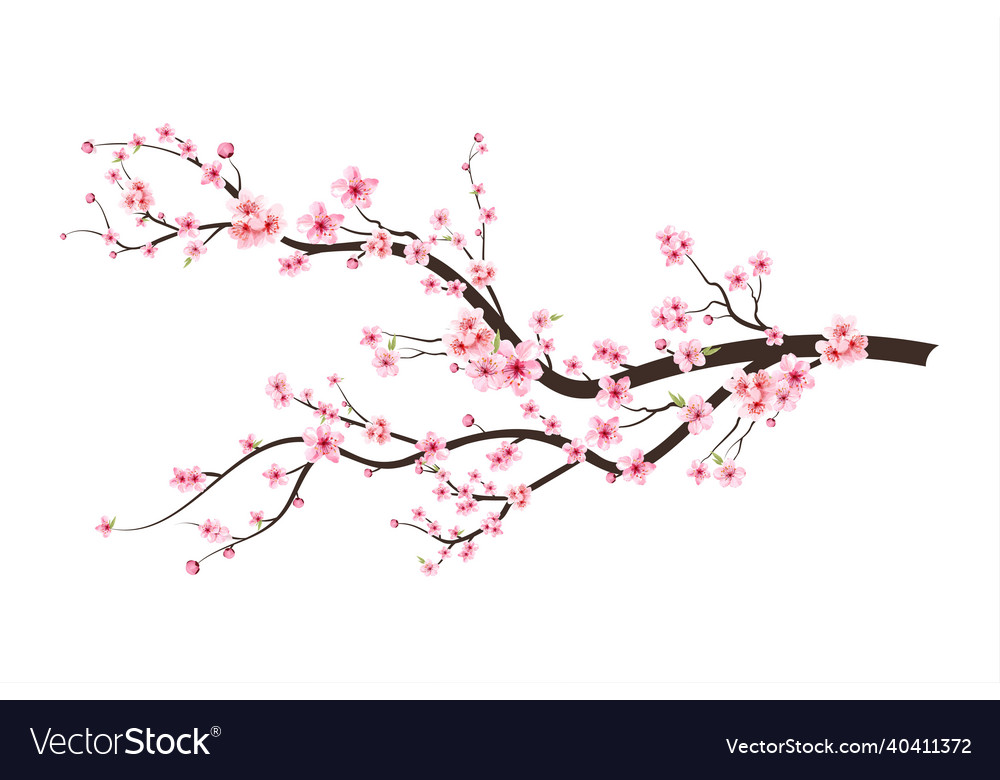 Detail Font Bunga Sakura Nomer 55