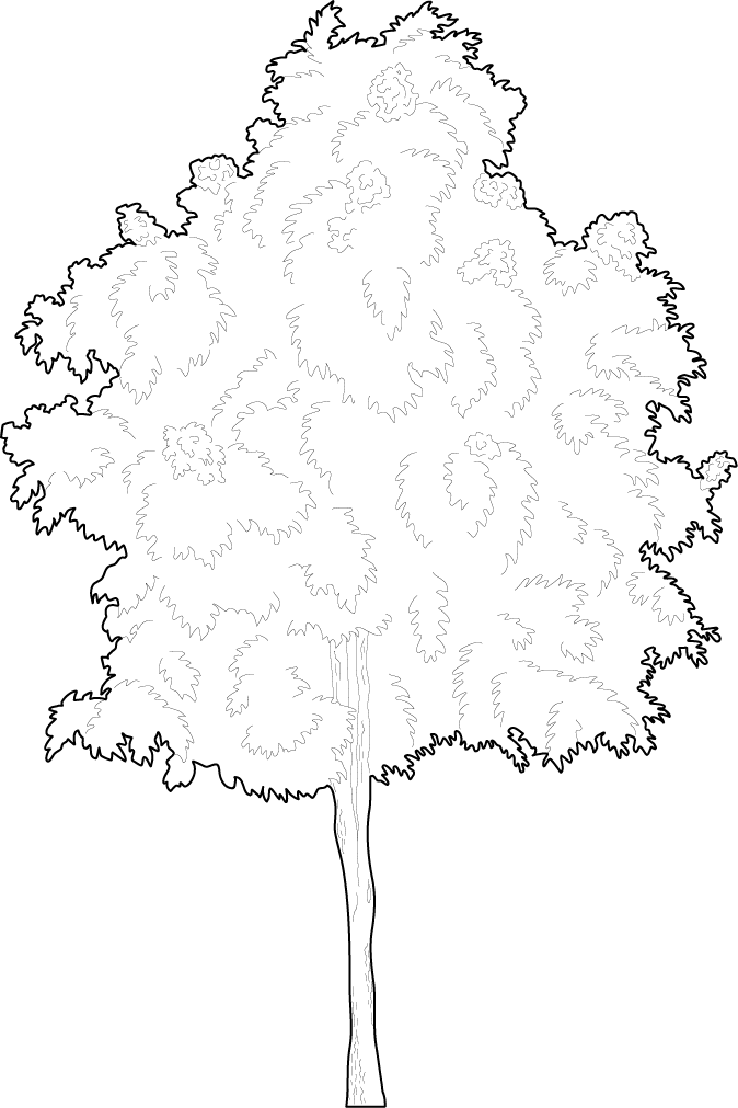 Detail Baum Dwg Nomer 2