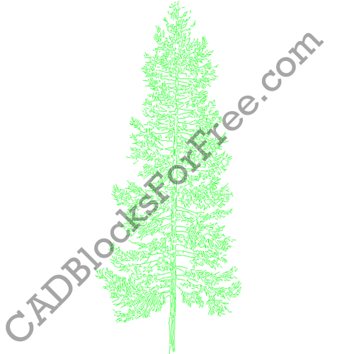 Detail Baum Dwg Nomer 18