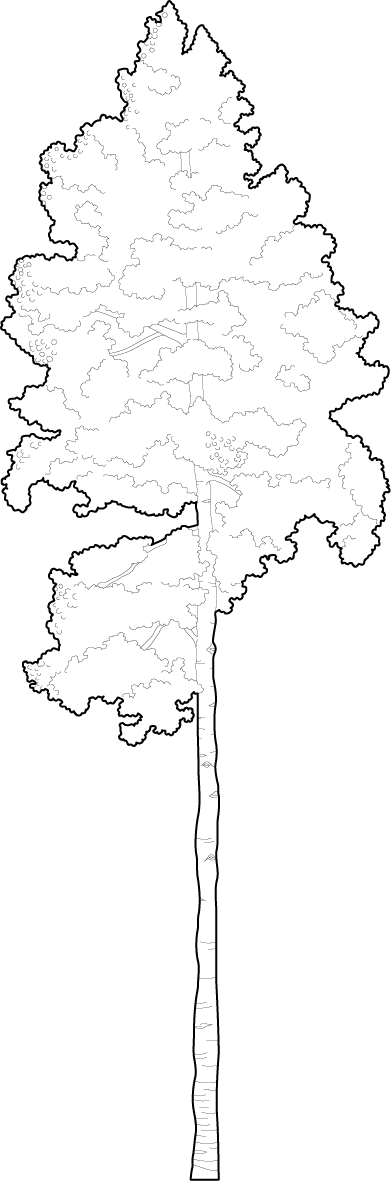 Detail Baum Dwg Nomer 6