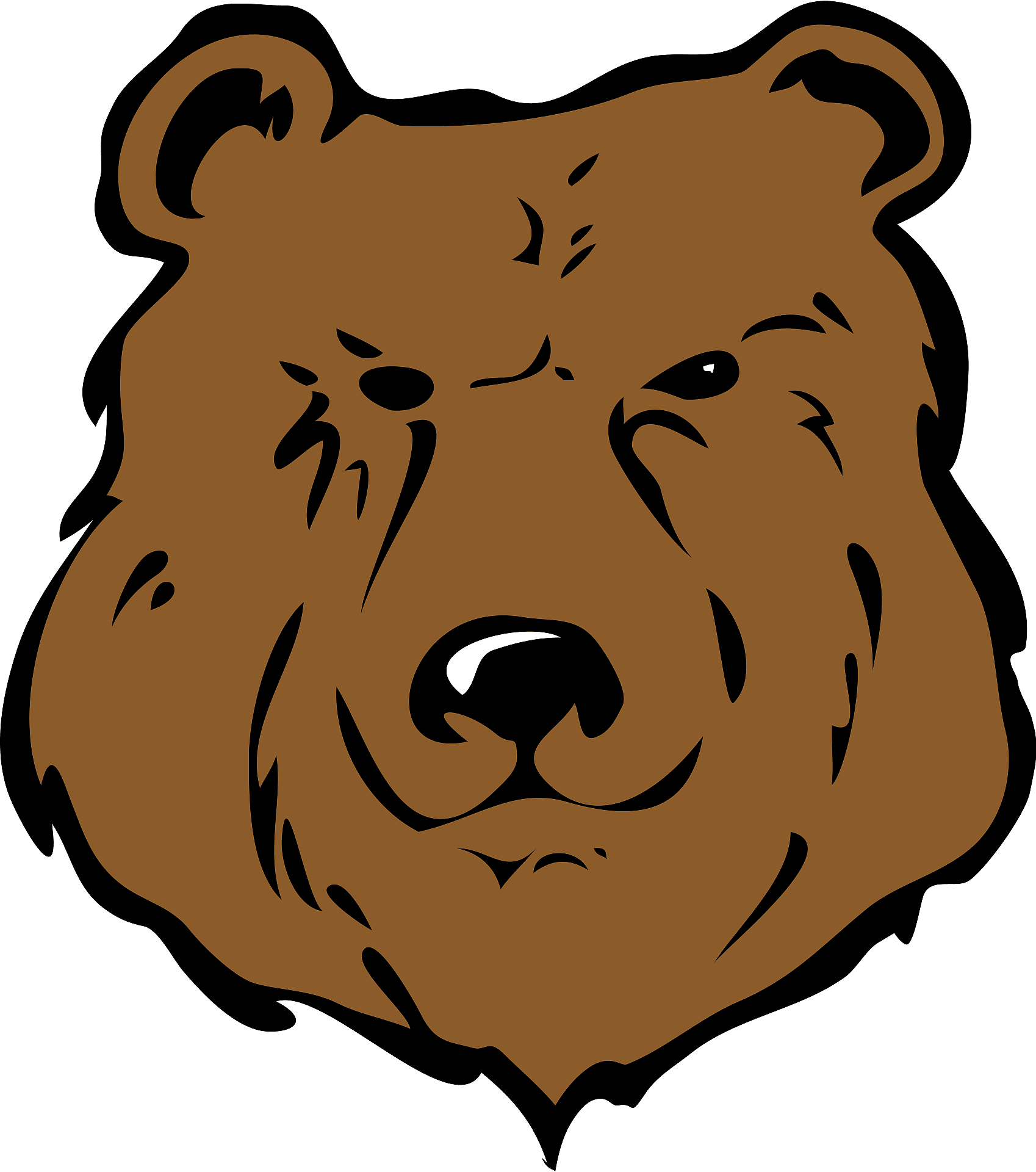Detail Bear Face Nomer 5