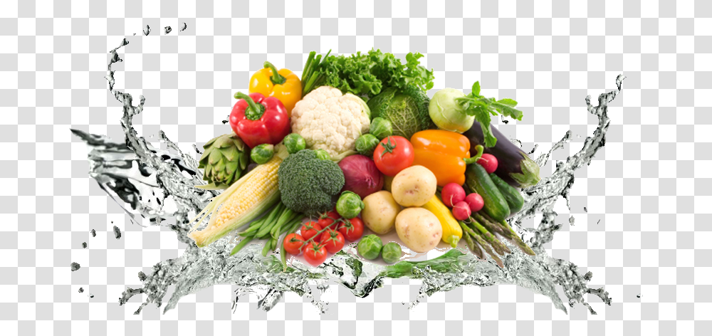 Detail Food Background Png Nomer 28