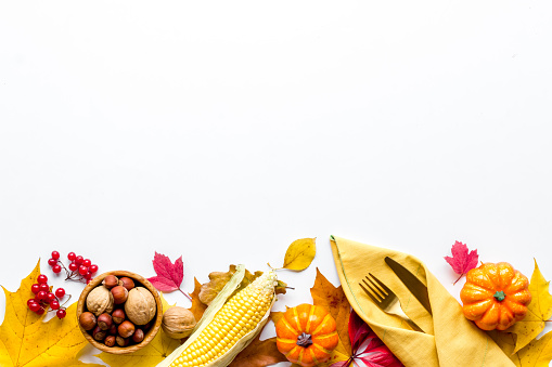 Detail Food Banner Background Nomer 32