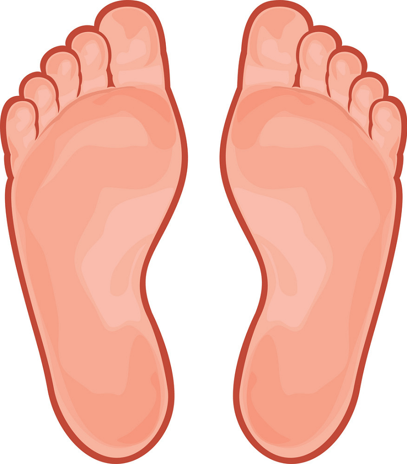 Detail Foot Transparent Background Nomer 5