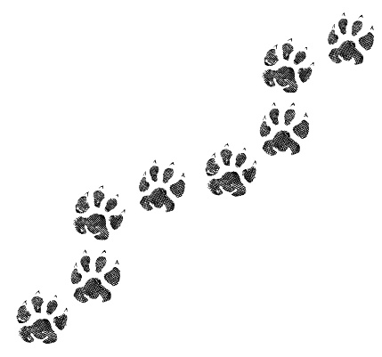 Detail Footprints Images Nomer 34