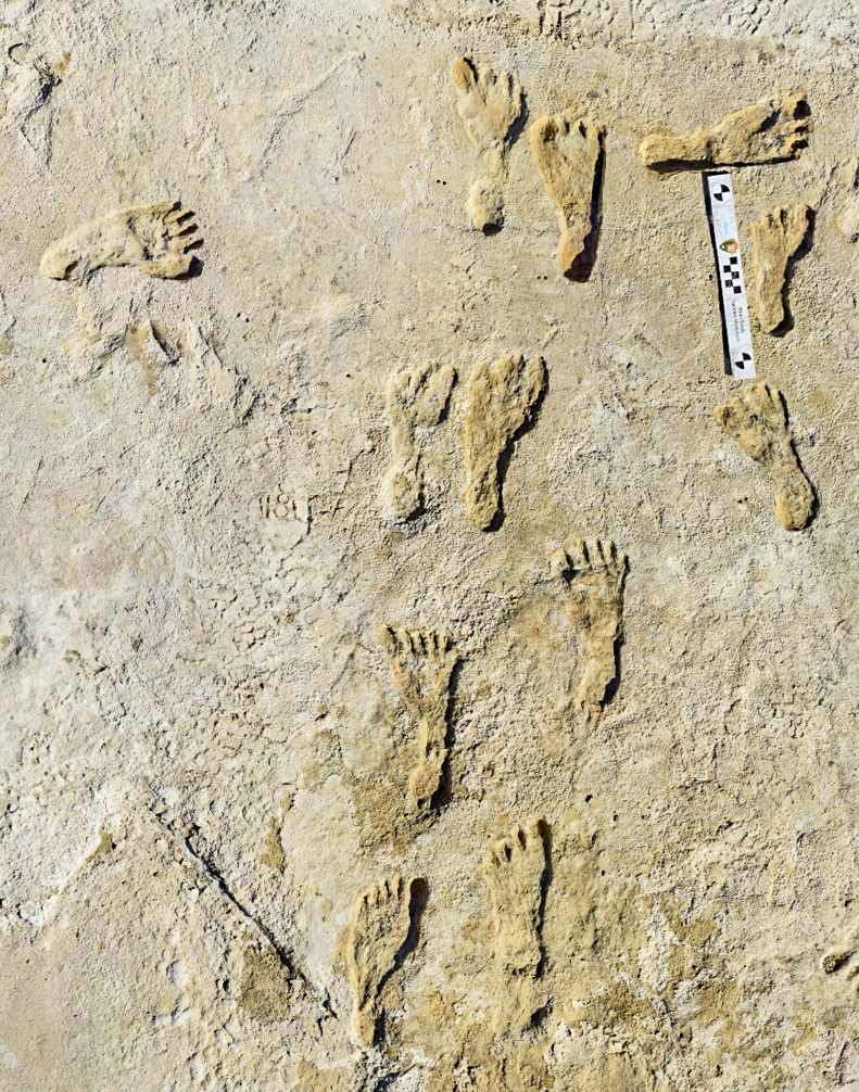 Detail Footprints Images Nomer 35