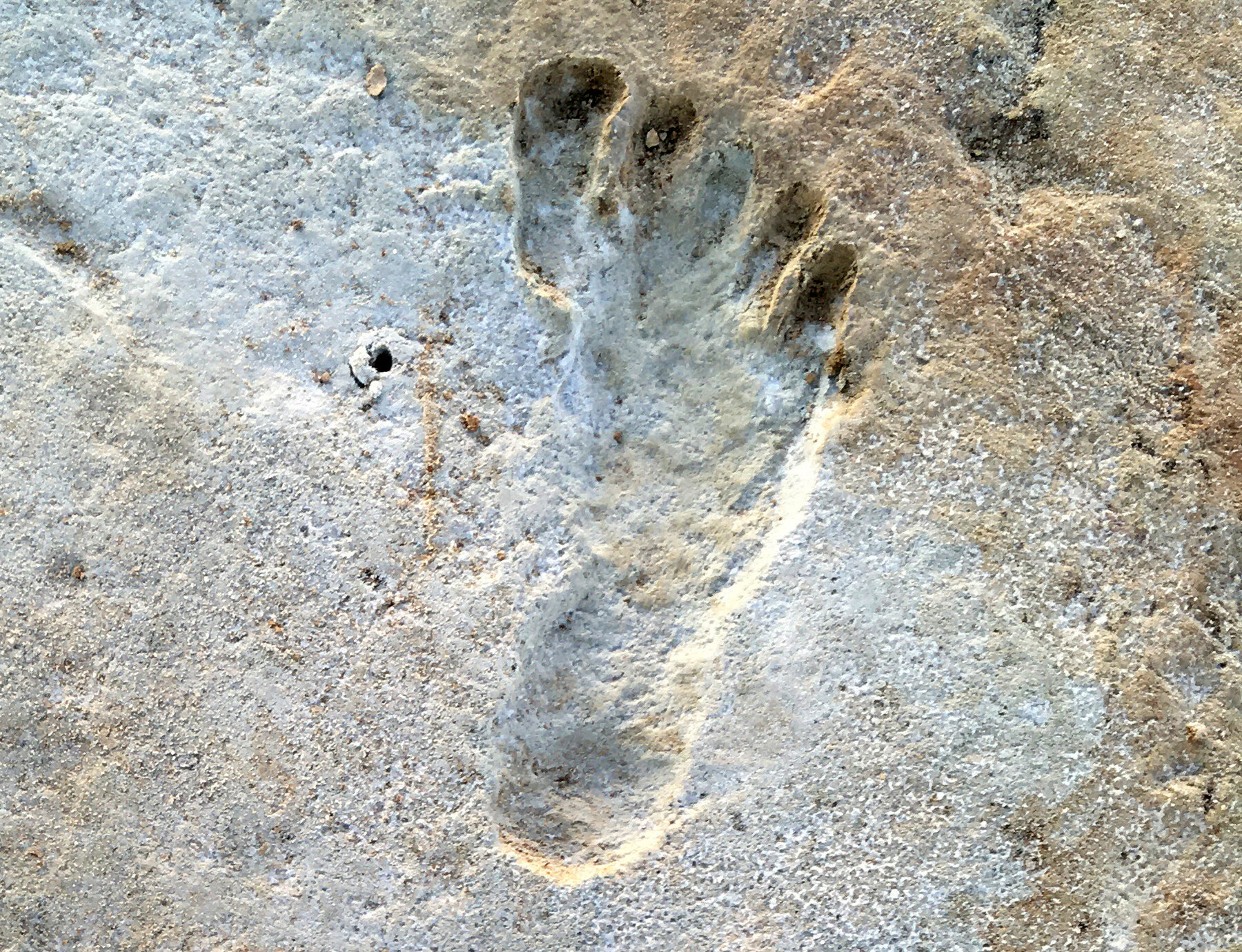 Detail Footprints Images Nomer 6