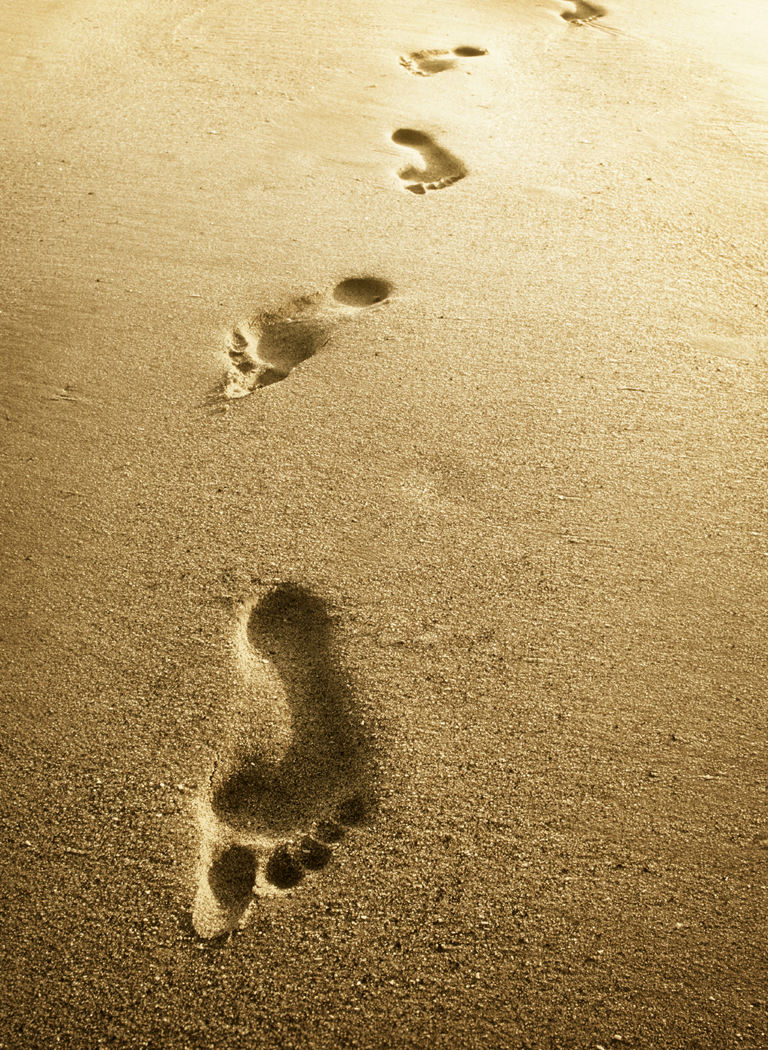 Detail Footprints In Sand Clipart Nomer 18