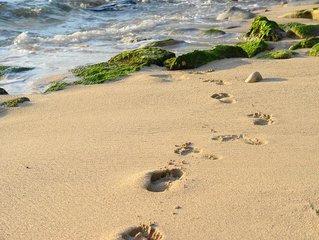 Detail Footprints In Sand Clipart Nomer 26