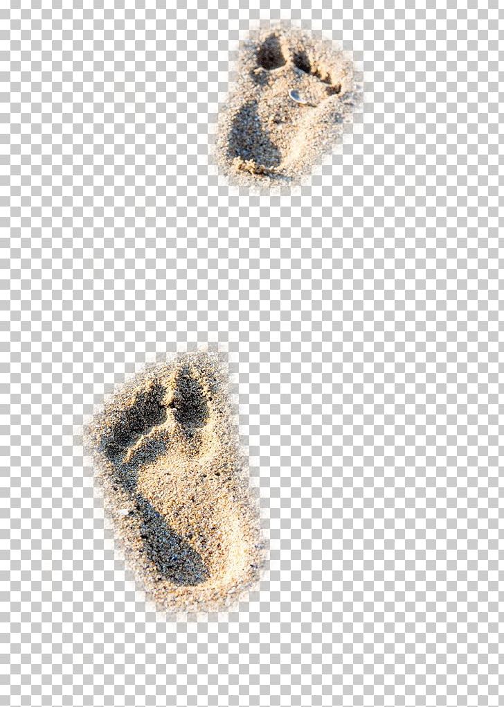 Detail Footprints In Sand Clipart Nomer 36