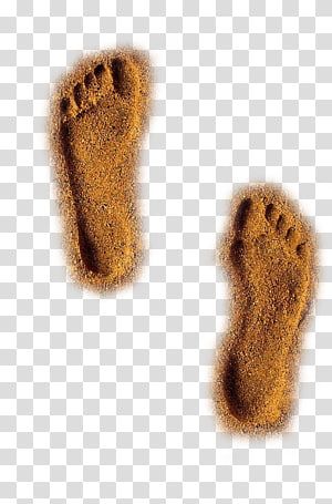 Detail Footprints In The Sand Clipart Nomer 10