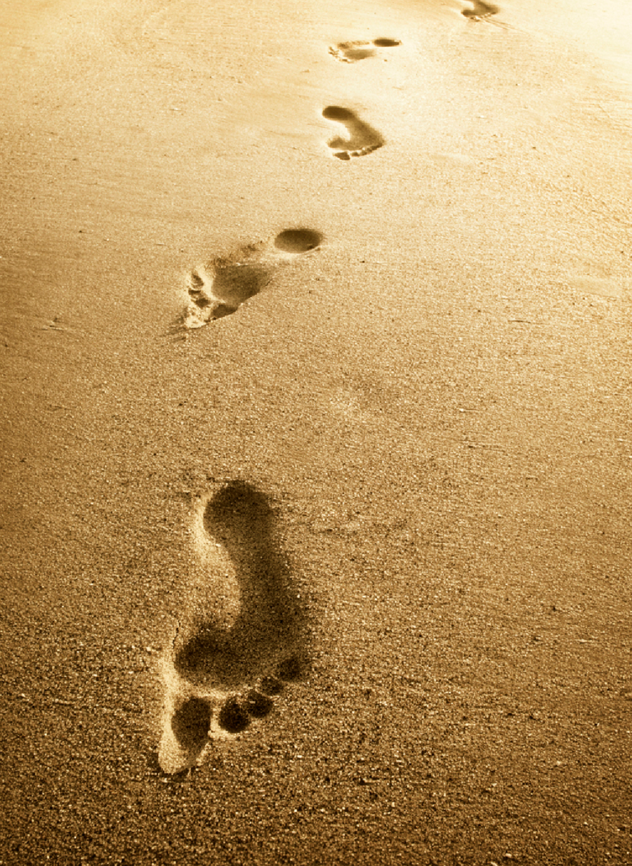 Detail Footprints In The Sand Clipart Nomer 37