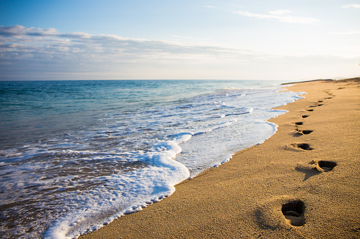 Detail Footprints In The Sand Images Free Nomer 10