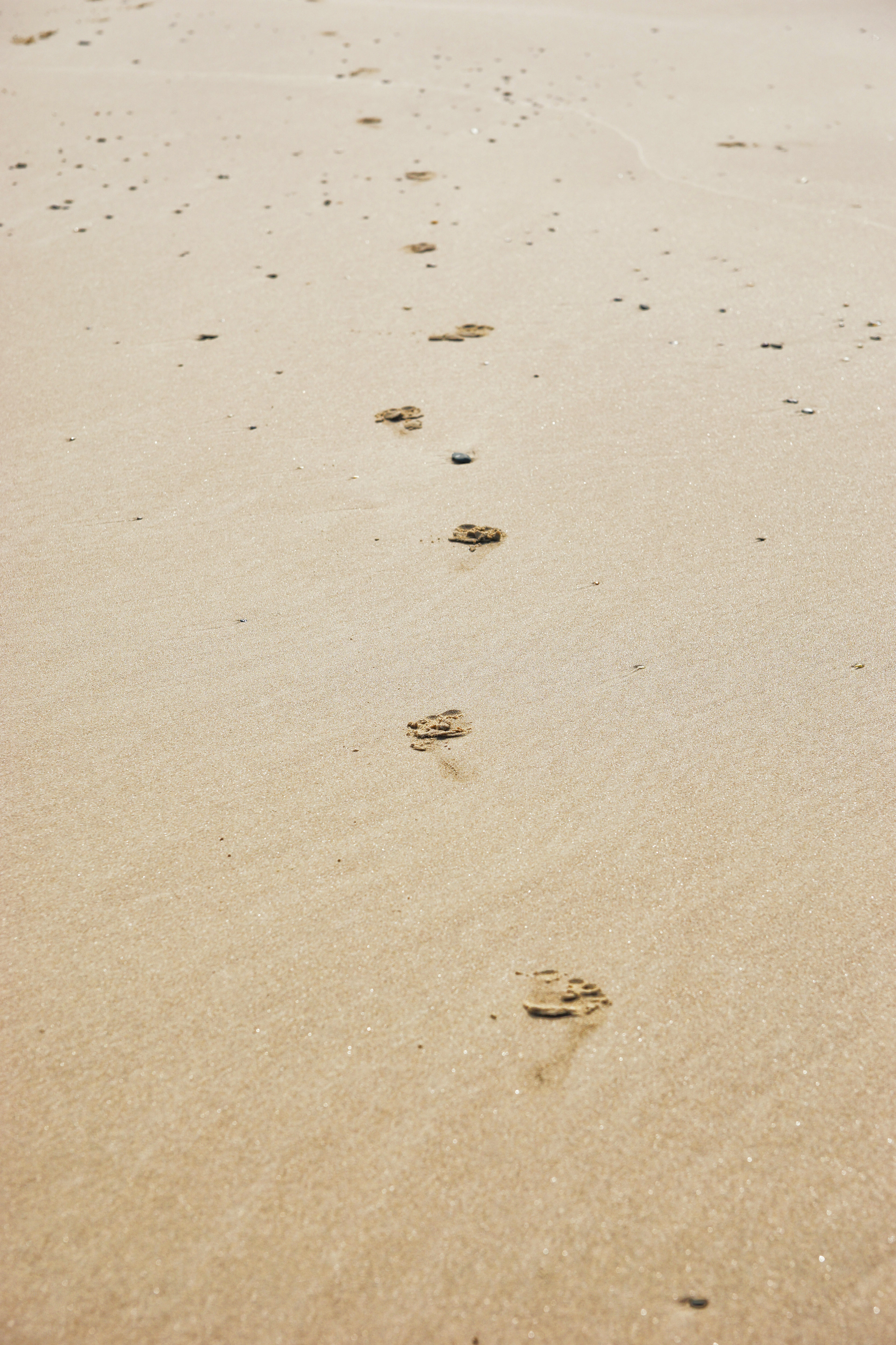 Detail Footprints In The Sand Images Free Nomer 13