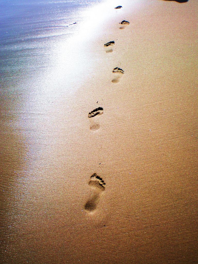 Detail Footprints In The Sand Images Free Nomer 20