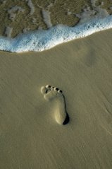 Detail Footprints In The Sand Images Free Nomer 25