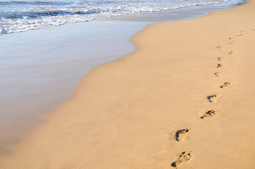 Detail Footprints In The Sand Images Free Nomer 28