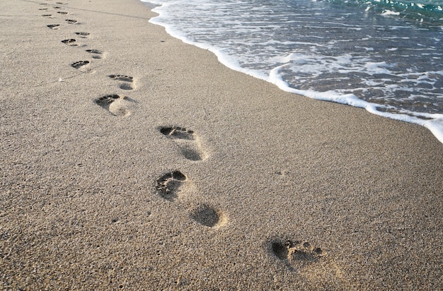Detail Footprints In The Sand Images Free Nomer 31