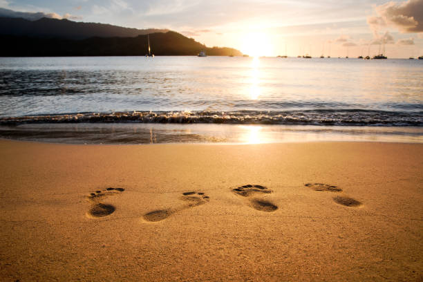 Detail Footprints In The Sand Images Free Nomer 40