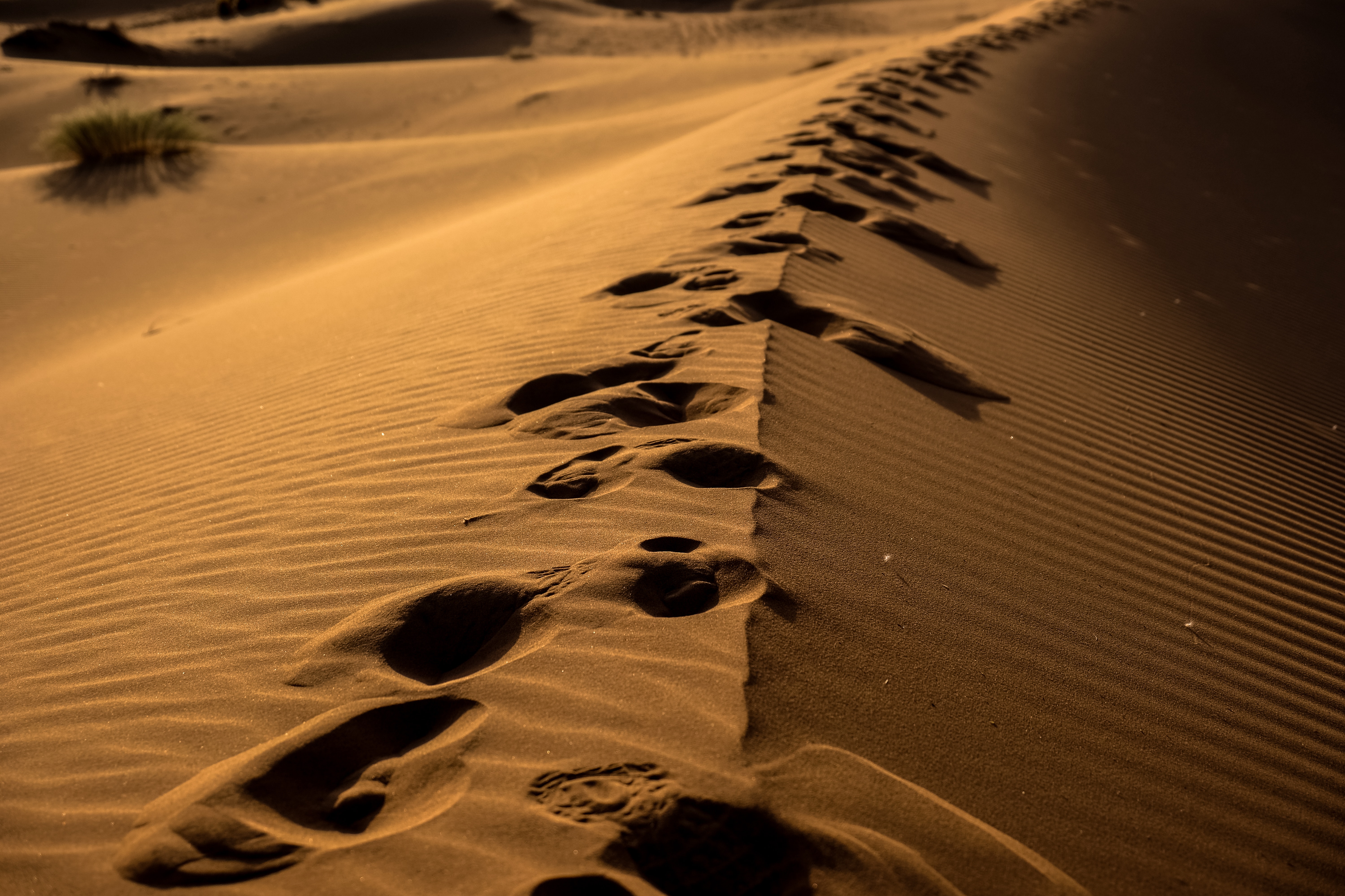 Detail Footprints In The Sand Images Free Nomer 42