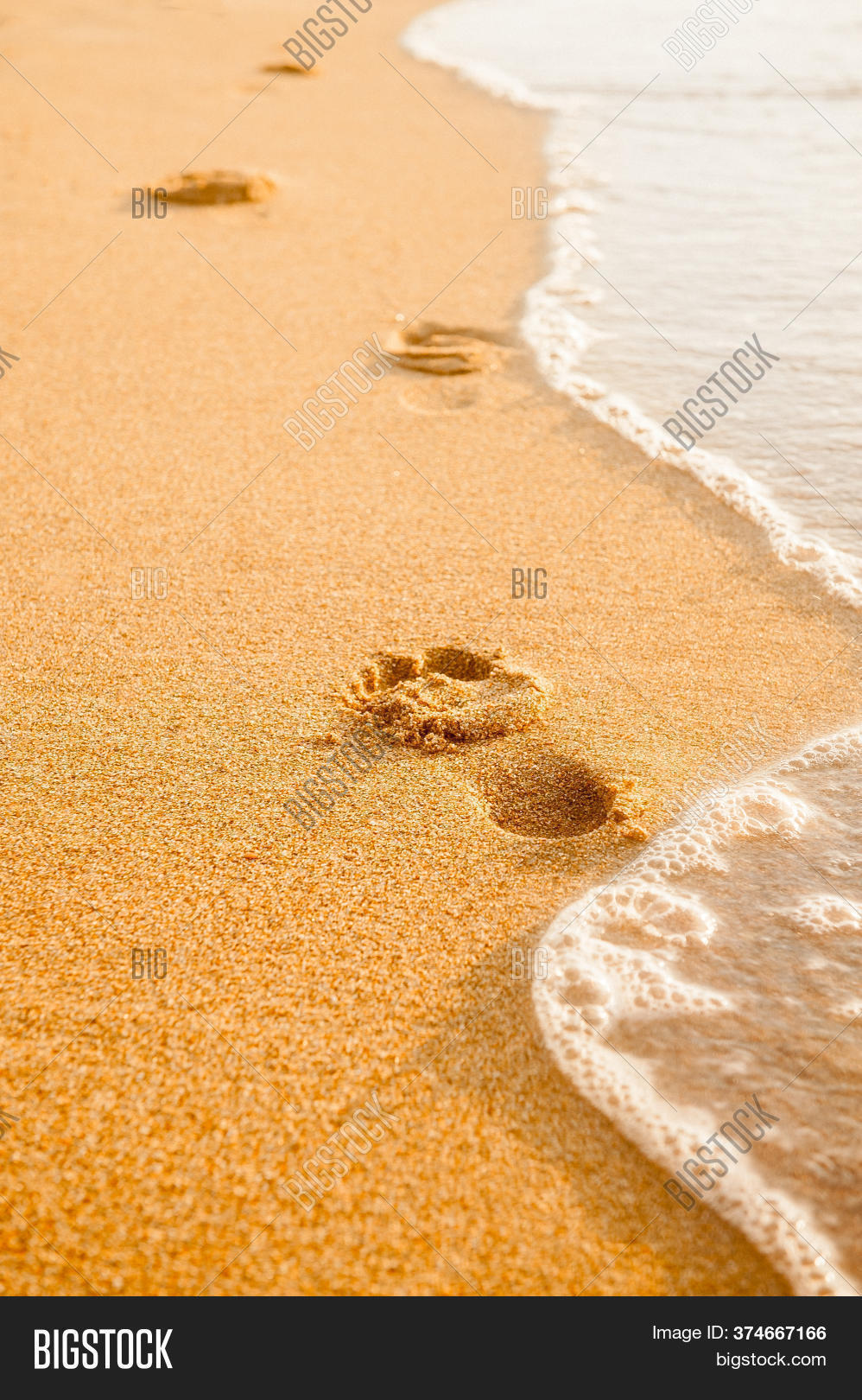 Detail Footprints In The Sand Images Free Nomer 48