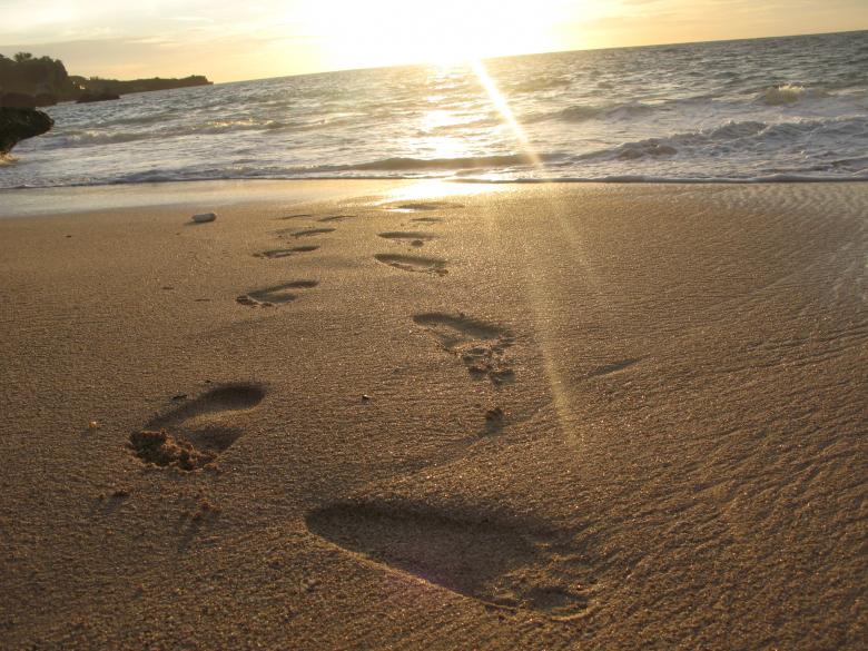 Detail Footprints In The Sand Images Free Nomer 51