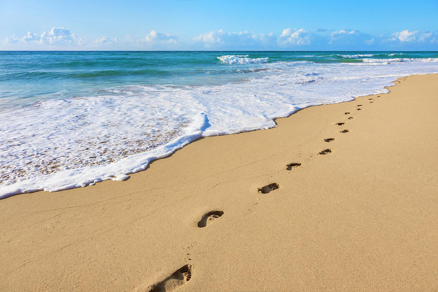 Detail Footprints In The Sand Pics Nomer 18