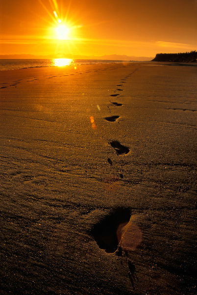 Detail Footprints In The Sand Pics Nomer 35