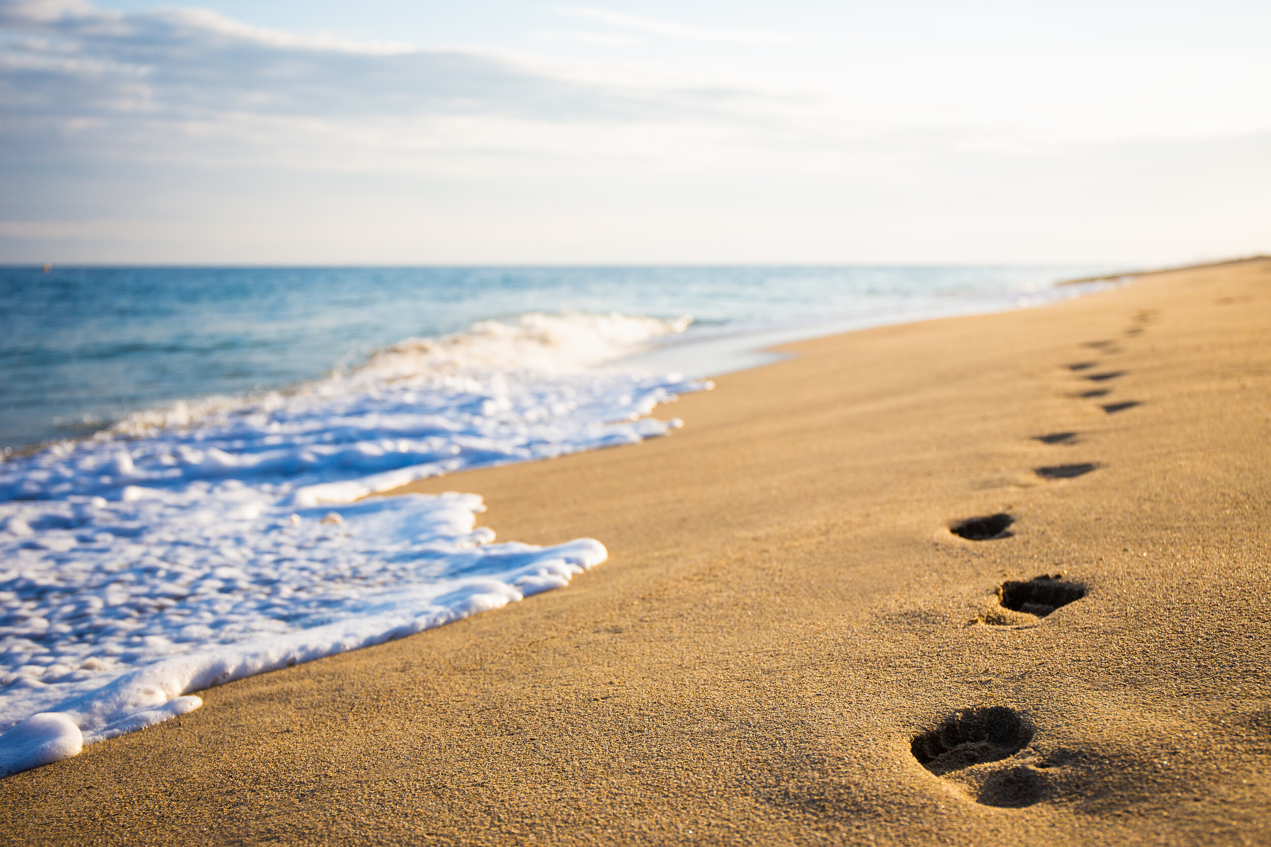 Detail Footprints In The Sand Pics Nomer 45