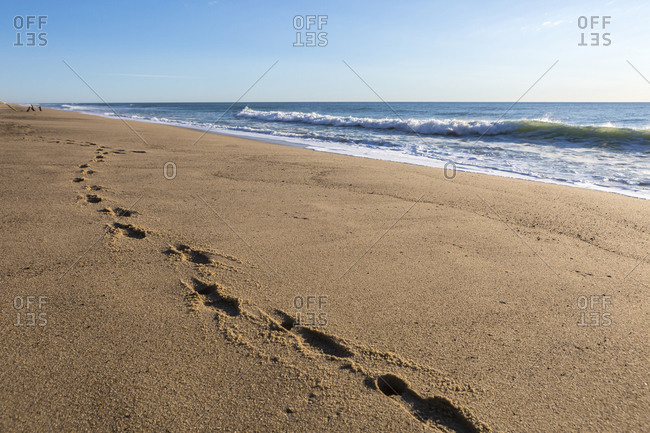 Detail Footprints In The Sand Pics Nomer 47