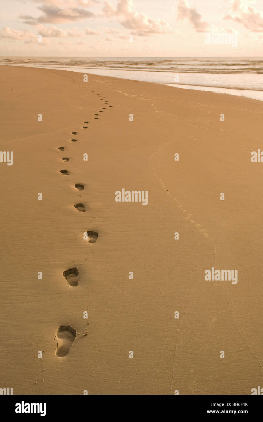 Detail Footprints In The Sand Pics Nomer 57